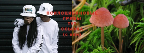 бутират Баксан