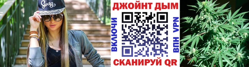 Шишки марихуана план  как найти наркотики  Голицыно 